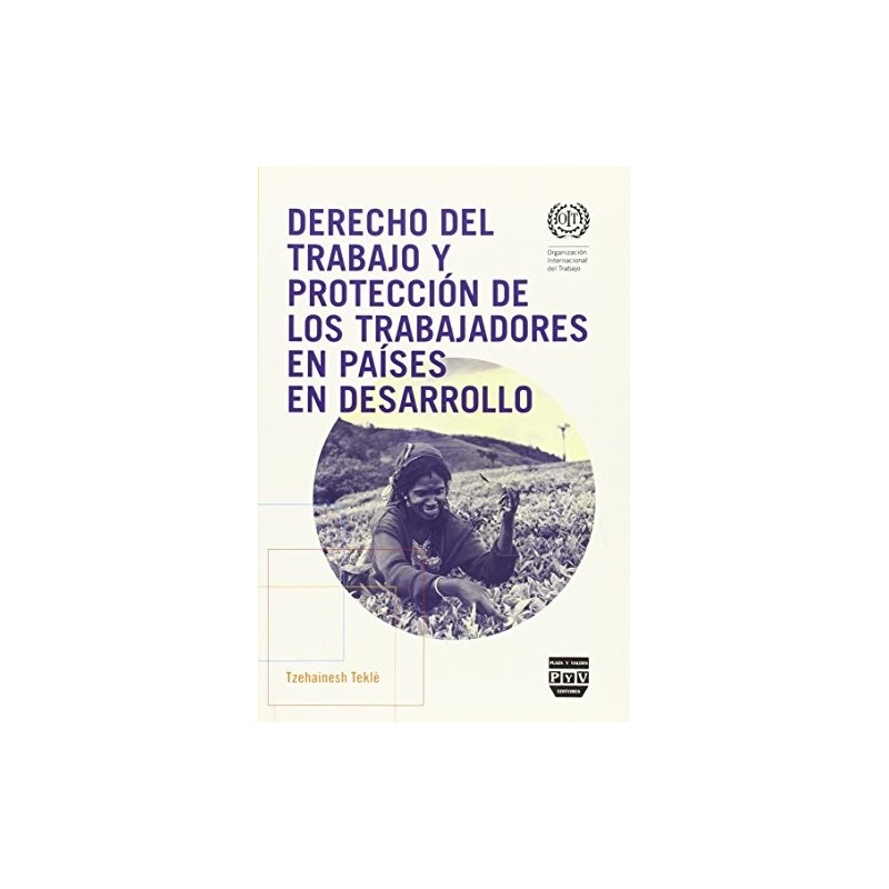 9788415271338.jpg Derecho Del Trabajo Y Proteccion P&V - Image 1