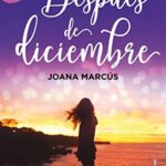 Portada del libro Despues De Diciembre